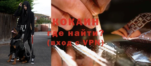 ГАЛЛЮЦИНОГЕННЫЕ ГРИБЫ Елизово