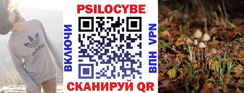 Псилоцибиновые грибы Magic Shrooms это какой сайт Злынка