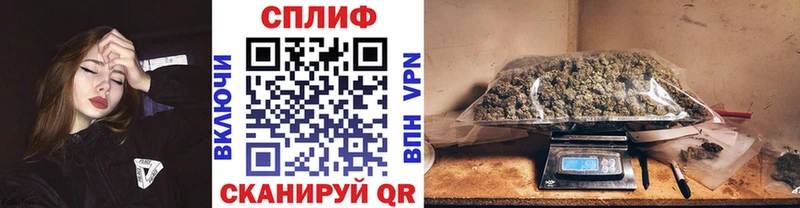 МАРИХУАНА план Злынка